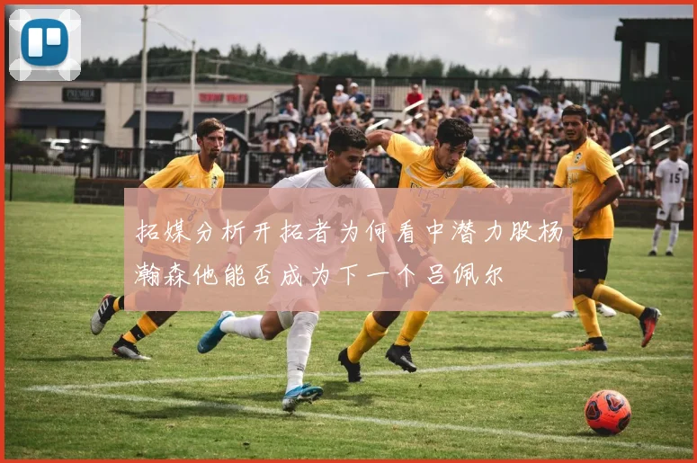 拓媒分析开拓者为何看中潜力股杨瀚森他能否成为下一个吕佩尔