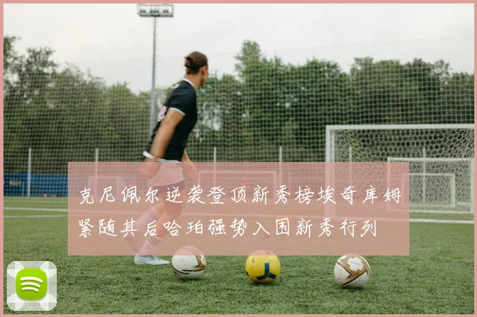 克尼佩尔逆袭登顶新秀榜埃奇库姆紧随其后哈珀强势入围新秀行列
