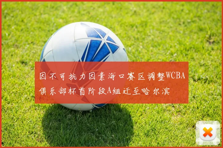 因不可抗力因素海口赛区调整WCBA俱乐部杯首阶段A组迁至哈尔滨